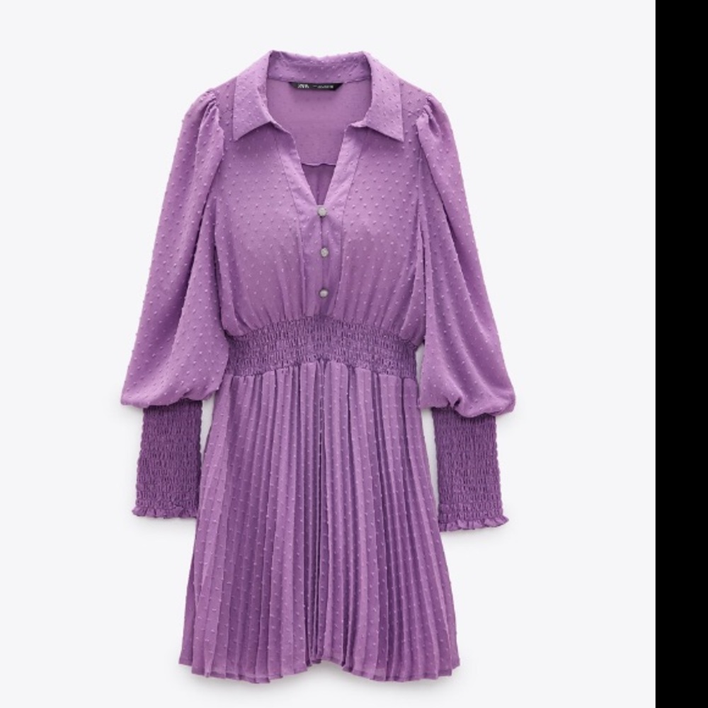 Zara pleated dotted mesh dress